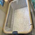 SAR 200,  Baby Cot
