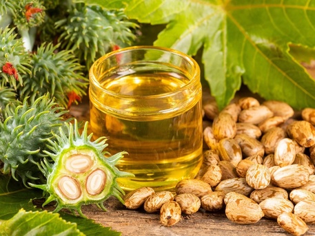 Mumbai, Business, Certified Castor Oil Manufacturers In India | Nova Industries