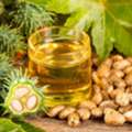 Certified Castor Oil Manufacturers In India | Nova Industries
