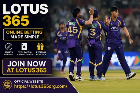 New Delhi, Business, Why Lotus 365 Is Popular Among New Users