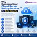 Why Businesses Need Cloud Server Backup Services For Data Security