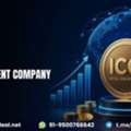 Turn Your Blockchain Vision Into Investor Interest With ICO Development