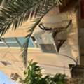 BHD 99/month,  Studio And Two Bedroom Apartment For Rent