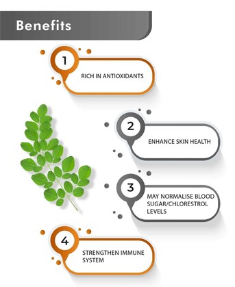 Ahmedabad, Health & Beauty Items, Organic Moringa Powder For Immunity & Weight Loss | Just Jaivik & Health N Wellness Shop