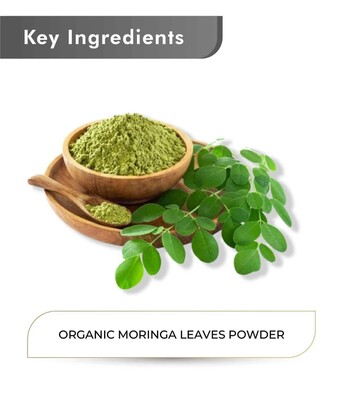 Ahmedabad, Health & Beauty Items, Organic Moringa Powder For Immunity & Weight Loss | Just Jaivik & Health N Wellness Shop