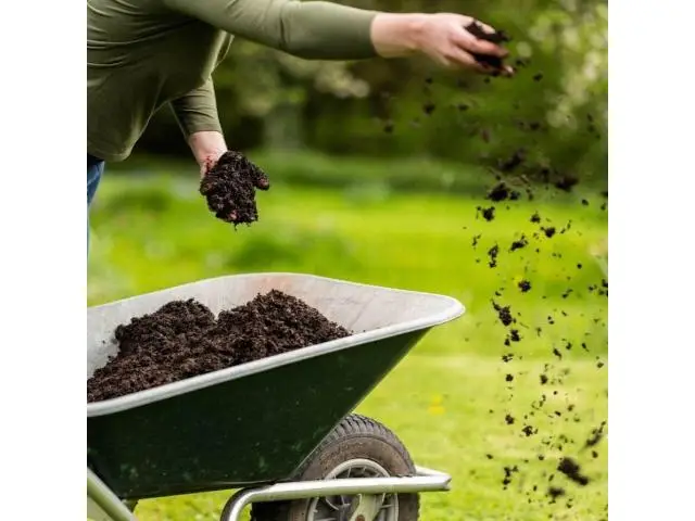 Sydney, Auto Parts, Usd 150,  Organic Slow Release Fertiliser For Stronger Plant Growth