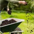 Usd 150,  Organic Slow Release Fertiliser For Stronger Plant Growth