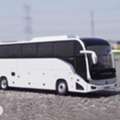 Bus Driver