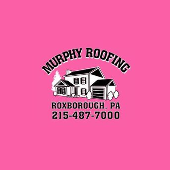 New York, Construction, Residential Roof Repair In Philadelphia PA Experts