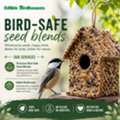 Bird-Safe Seed Blends For Backyard Bird Trends 2026