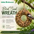 Bird Seed Wreaths: The Backyard Trend Every Bird Lover Needs  Bird Seed Wreath Designs Are