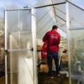 Eco-Friendly House Removals In Green &ndash; Safe & Efficient Moving Services
