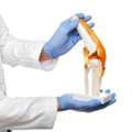Best Robotic Joint Replacement In Bhopal