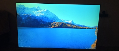 Al Hamra, Electronics, SAR 950,  TCL 55"