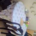 SAR 250,  Dining Table