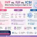 Stop Waiting For A Miracle: The Secret To Successful IVF Treatment In Noida Revealed!