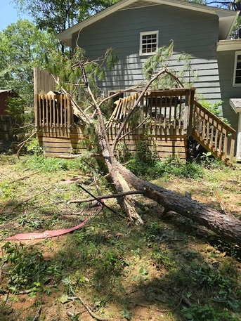 New York, Farm/Garden, Arborist Near Me | Advance Grading & Tree Service