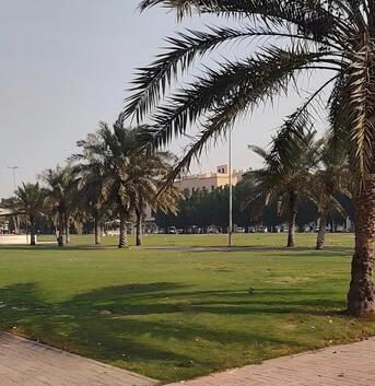 Jubail, Rooms for Rent, SAR 1200/month,  Furnished,  50 Sq. Meter,  Room For Rent