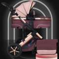 INR 100,  Baby Stroller