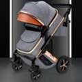INR 100,  Best Stroller In India