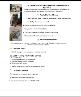 Riyadh, Pet Sitting, Riyadh Pet Sitting Cat Boarding Pet Care Pet Hotel