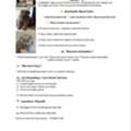 Riyadh Pet Sitting Cat Boarding Pet Care Pet Hotel