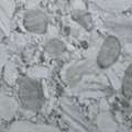 Slate Stone Veneer Sheets Australia - ACME Trendz