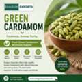 Fresh Green Cardamom Wholesale Supplier - Shagun Exporter