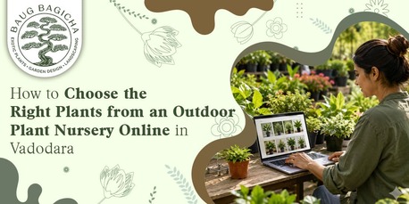 Vadodara, Farm & Garden, INR 01,  Online Plant Nursery In Vadodara | Baugbagicha