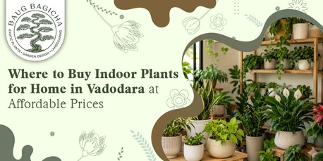 Vadodara, Farm & Garden, INR 01,  Online Plant Nursery In Vadodara | Baugbagicha