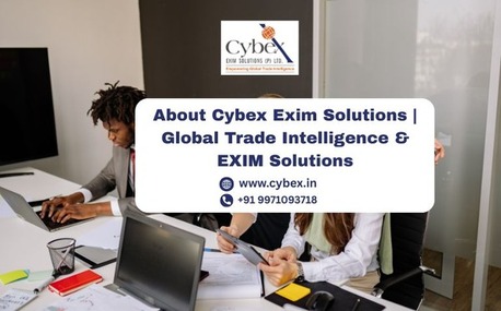 Lucknow, Business, About Cybex Exim Solutions | Global Trade Intelligence & EXIM Solutions