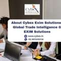 About Cybex Exim Solutions | Global Trade Intelligence & EXIM Solutions