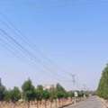 INR 12500,  183 Sq. Yard,  DTCP & RERA APPROVED OPEN PLOTS IN FUTURE CITY @ 9392311420
