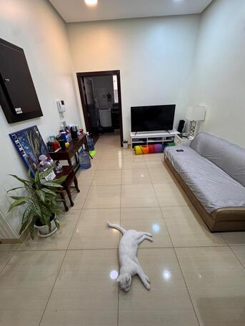 Manama, Apartments, Flats, Houses & Villas, BHD 110/month,  2 BR,  Room For Rent For Bachelor LADY Only