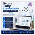 Best Tally Customization Services Provider In Noida