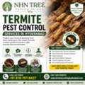 Termite Pest Control Services In Hyderabad &ndash; NHN Tree Cutting Hyderabad