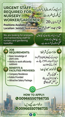 Jeddah, Jobs, URGENT STAFF REQUIRED FOR NURSERY WORKER / GARDENER