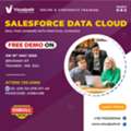 Salesforce Data Cloud Free Live Demo &ndash; Register Now!