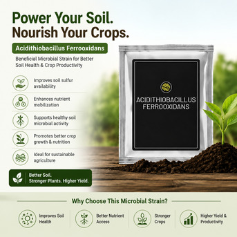 New York, Farm & Garden, USD 70,  Acidithiobacillus Ferrooxidans For Farmers Growing Nutrient-Hungry Crops &ndash; Shop Now