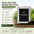 USD 70,  Acidithiobacillus Ferrooxidans For Farmers Growing Nutrient-Hungry Crops &ndash; Shop Now