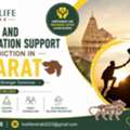 Rehabilitation And Counseling Support In Gujarat