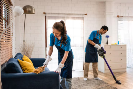 Auckland, Cleaning, Professional House Cleaning Services Hamilton Families Recommend