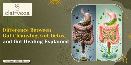 Vadodara, Health, Gut Health Specialist In Vadodara | Ayus-clairveda