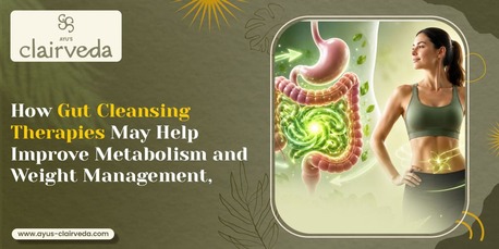 Vadodara, Health, Ayurvedic Gut Health Treatment In Vadodara | Ayus-clairveda