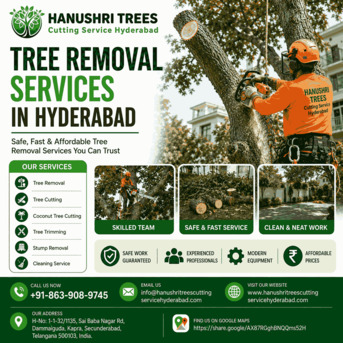 Hyderabad, Farm/Garden, Tree Removal Services In Hyderabad &ndash; Hanushri Trees Cutting Service Hyderabad