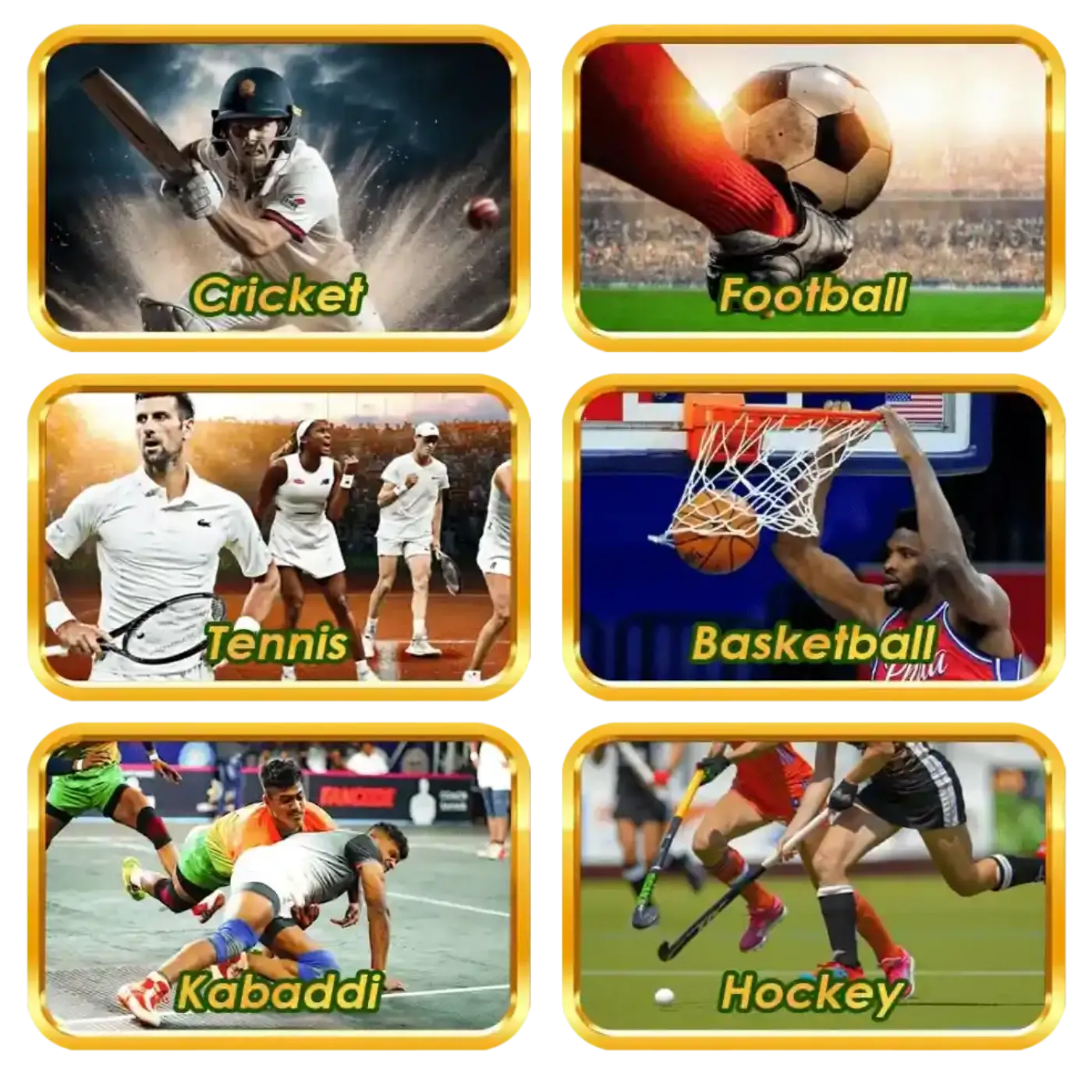 New Delhi, Business, Sky Exchange &ndash; Smart Gaming, Smarter Predictions