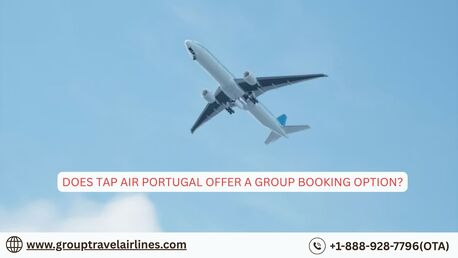 New York, Travel, Does TAP Air Portugal Offer A Group Booking Option?