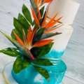 Best Florida Bakery Kissimmee For Gourmet Cakes