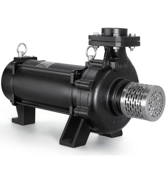 Ahmedabad, Business, Horizontal Open Well Pump Sets For Continuous Water Flow