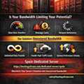 Why Unmetered Bandwidth Matters For Your Dedicated Server